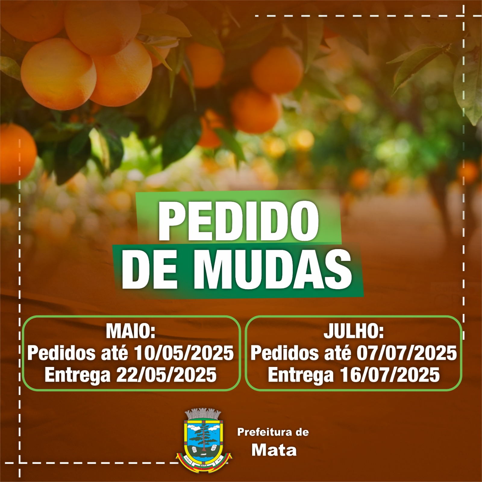 PEDIDO DE MUDAS FRUTÍFERAS 2025!